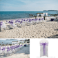 Organza Chair Sash